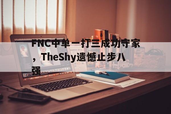jinnianhui最新版-FNC中单一打三成功守家，TheShy遗憾止步八强