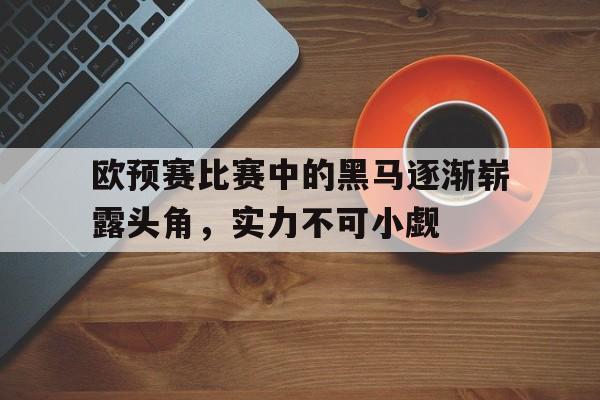jinnianhui最新版-欧预赛比赛中的黑马逐渐崭露头角，实力不可小觑